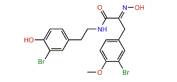 1'-Methoxyhemibastadin 1